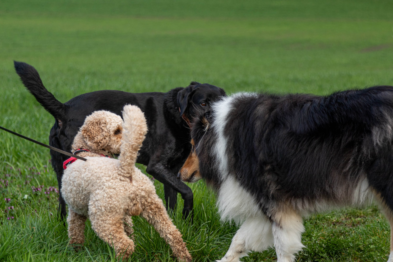 startseite_erlebnisspaziergang