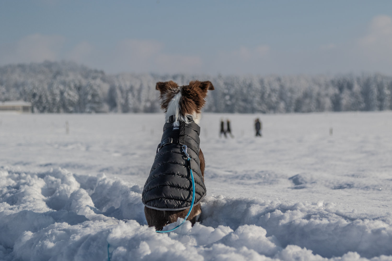 startseite_kennenlernen